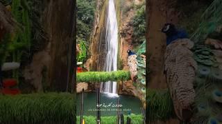 شلالات كفريدة، بجاية  Les cascades de Kefrida, Béjaïa #قبائل #بجاية #اكسبلور #nature #tiktok #طاووس