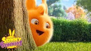 Catching Big Boo! - Sunny Bunnies | Season 2 Marathon | Funny Cartoons For Children