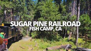 Exploring Yosemite Mountain Sugar Pine Railroad in Fish Camp, CA USA Walking Tour #sugarpinerailroad