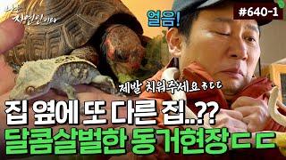 집 옆에 또 다른 집..?? 자연인과 동거하는 그들의 정체..｜자연인 다시보기 640-1