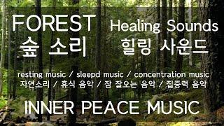 이너피스뮤직 #01_힐링 사운드:숲 [바람 / 새 / 자연소리 ] INNER PEACE MUSIC_ Healing Sounds_Forest [Wind/Bird/Nature]