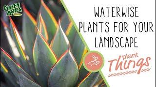 Top Waterwise Plants (Groundcover, Trees, Grasses and Shrubs)