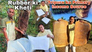 How Tripura Farmers are becoming Millionaires ? Tripura ka Rubber ki kheti | How The Tribal survive