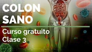 COLON SANO ¡Curso gratuito! Clase 3️⃣