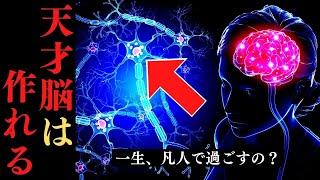 【内緒】天才の脳では〇〇が機能している！ギフテッドに生まれ変わる方法