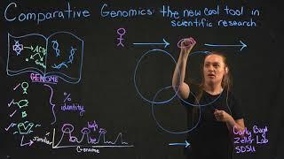 Comparative Genomics: The new cool tool in Scientific Research by Carly Boyd