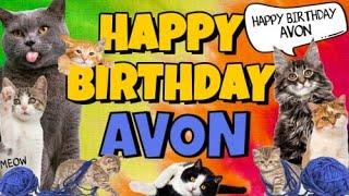 Happy Birthday Avon! Crazy Cats Say Happy Birthday Avon (Very Funny)