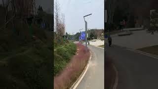 Road pole LED Display screen