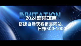 2024蓝海项目，搭建销售网站，自动获客，日赚500 1000