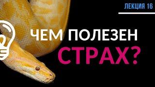 Страхи. Чем помогают и как их использовать? / Лекция №16 (полностью)