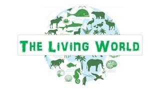 The Living World