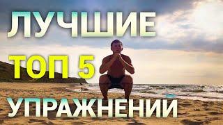 Топ 5 Лучших Упражнений на все Группы Мышц