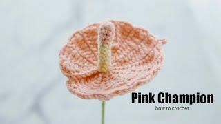 How to Crochet Pink Champion