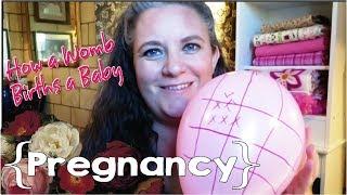 How Your Uterus Births Your Baby (Balloon Demo) ║ Pregnancy #9 Update │ 28 Weeks