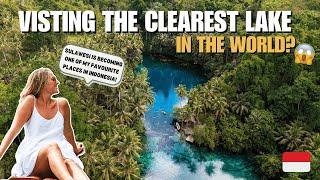 Paisupok Lake in Sulawesi - The clearest lake in the world!