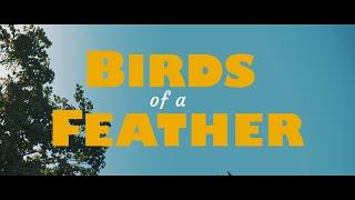 BIRDS OF A FEATHER - PUGET SOUND KIDNEY CENTERS