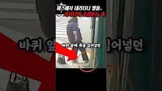 촉이 발동한 기사님 자해공갈 빌런 참교육