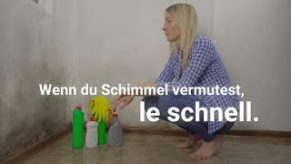 empowerDX Umweltanalytik - Hast du Schimmel in deinem Haus entdeckt?