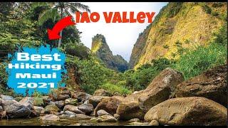 Best Hiking in Hawaii Iao Valley Hike Best Nature in Maui  Hawaii Relaxing Iao Valley Stream Footage