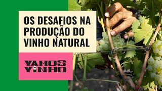 É difícil conseguir uvas sem veneno para fazer vinhos naturais no Brasil?