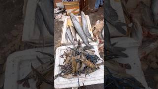 Big Size Prawns Dadar Fish Market in Mumbai #shorts #ytshorts #fishmarket