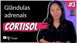 [#3] GLÂNDULAS ADRENAIS: CORTISOL (GLICOCORTICOIDES) | MK Fisiologia