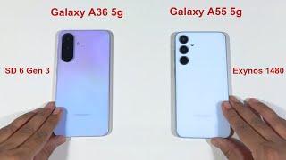 Samsung Galaxy A36 5G vs Galaxy A55 5G Speed Test and Camera Comparison