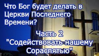 Что Бог будет делать в Церкви Последнего Времени? (Часть 2) "Содействовать нашему Сораспятью"