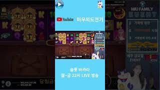 [슬롯][바카라]미우슬롯바카라찢다#슬롯#slot#바카라