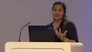 How can we investigate the impact of nano plastic litter in the ocean? Maya Al Sid Cheikh