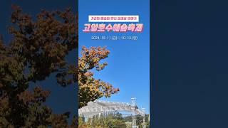 거리와 예술이 만나 피어날 이야기! 고양호수예술축제