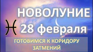 НОВОЛУНИЕ ️|28 ФЕВРАЛЯ| ПРОГНОЗ ДЛЯ ВСЕХ