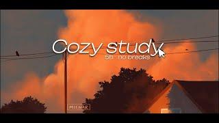 5 HOURS COZY STUDY - Cozy lofi music on a summer sunset