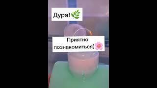 что ответить если сказали...