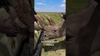 What does Rhino Skin feel like? - (DANGEROUS: DO NOT ATTEMPT)