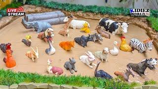 Muddy Farm Animals vs African Animals Toys in Mud | Fun Learning Kids Live Video 8 Hours