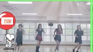 고양.화정 yum LineDance /초급라인댄스/얼씨구나(얼쑤)