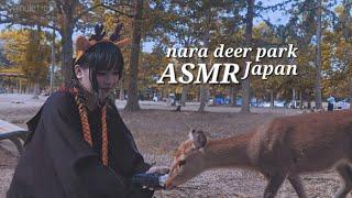 asmr at nara deer park  Nara, Japan.