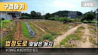 (구경하기 No.1111) 법정도로 맞닿은 농지 / 대부도부동산