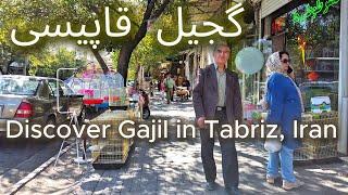 Exploring Gajil: Historic Neighborhood of Tabriz, East Azerbaijan Province, Iran