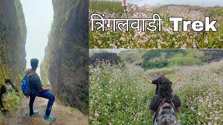 Tringalwadi Fort Maharashtra AnujManeVlogs first Trek after lockdown