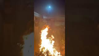 Boghi  ( happy Sankranthi ) #shorts #sankranthi #boghi #prasadshorts #trending #viral #youtube