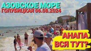 Купаться нельзя, море кишит медузами! #Голубицкая. 06.08.2024. От Молодежного до района Кавказ.