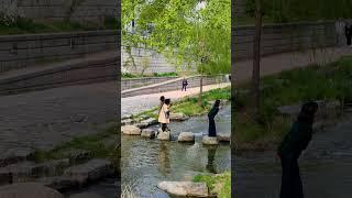 높이뛰기선수 (청)둥사원  #청계천 #travel #seoul #cheonggyecheon #청둥오리