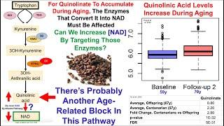 Grape Seed Proanthocyanidins Increase NAD