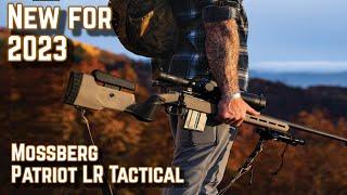 Mossberg LR Tactical: Long Range Precision on a Budget