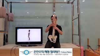 Sway back 교정 (등을 펴면 안되는 이유)