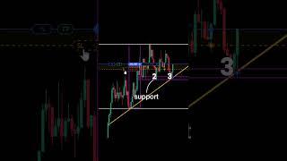 The Best Forex Trading Tips for Beginners
