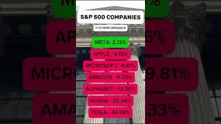 S&P 500 Companies YTD Performance 