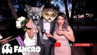 Exponiendo Infieles Ep. 3 - Especial Animales / Fancro (Feliz día a todos los Gatos)
